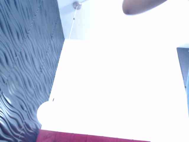 Victoria-Coleman webcam