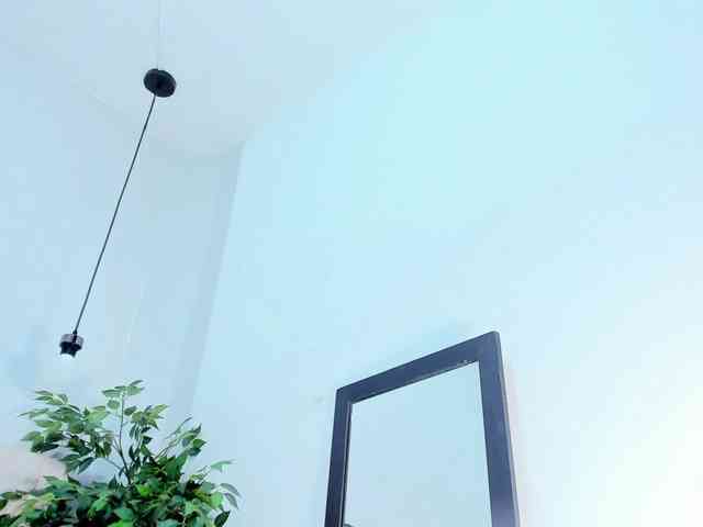 Victoria-Coleman webcam