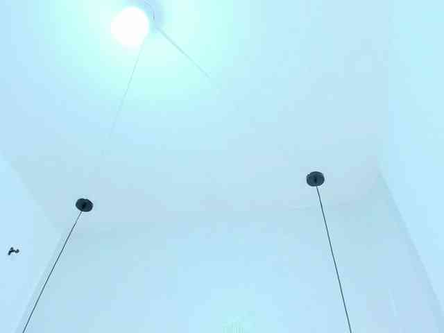 Victoria-Coleman webcam