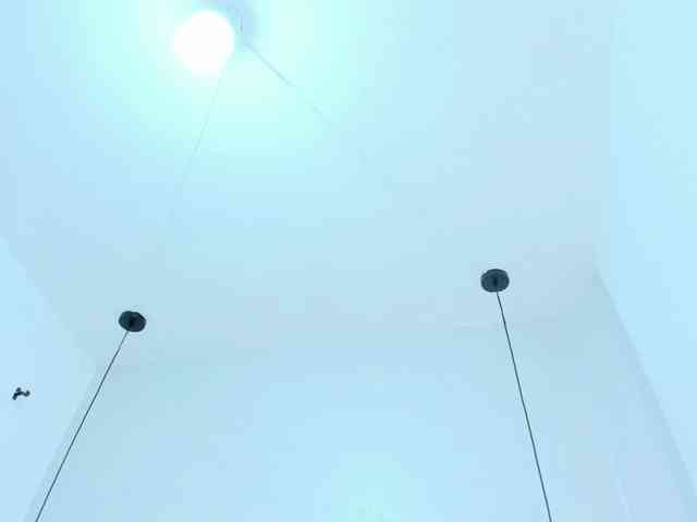 Victoria-Coleman webcam