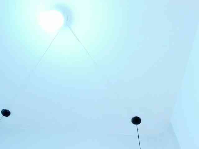 Victoria-Coleman webcam