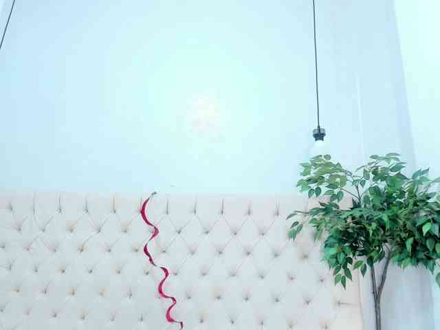 Victoria-Coleman webcam