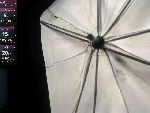 latinaStepStar webcam