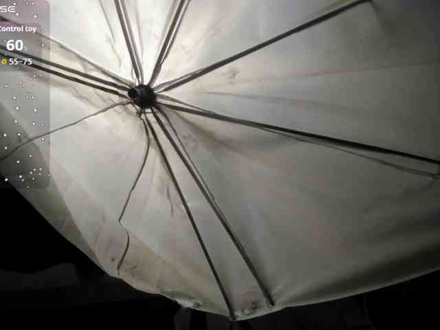 latinaStepStar latinaStepStar