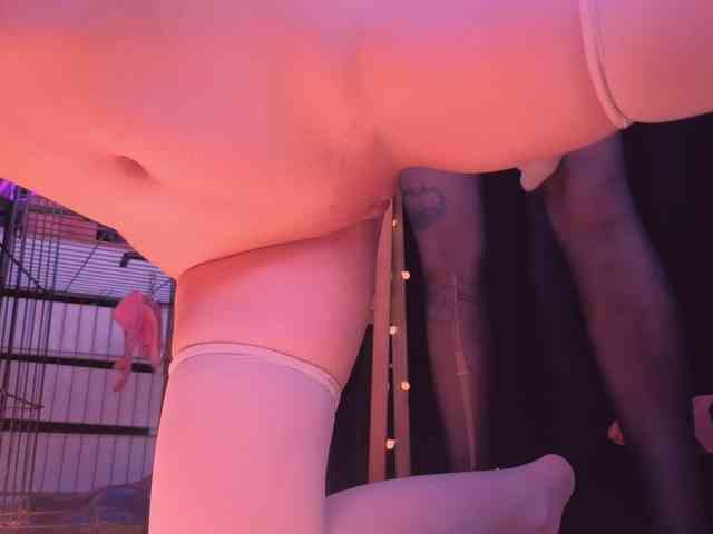 HornyHub webcam