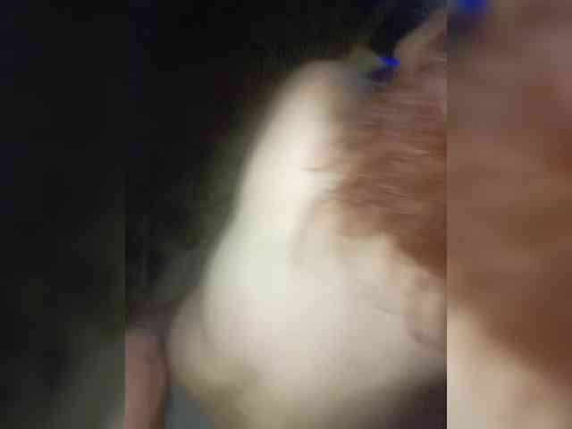 Sutener69-1 webcam