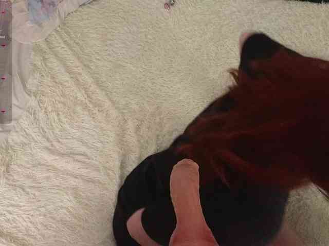 Lilith-Hustle webcam