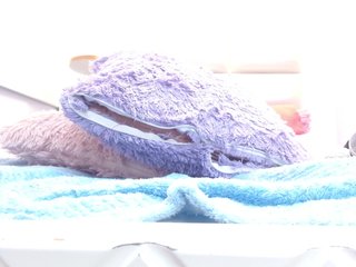 minene-mikami Porn Show