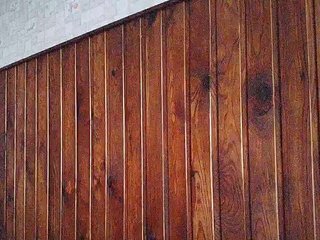 Your_Kitty Porn Show