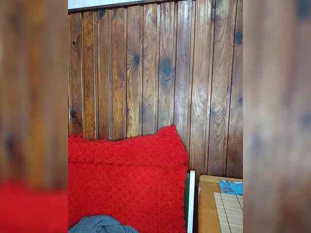 anas1eysha anas1eysha