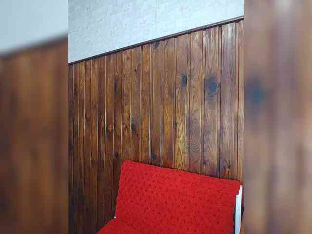 anas1eysha anas1eysha