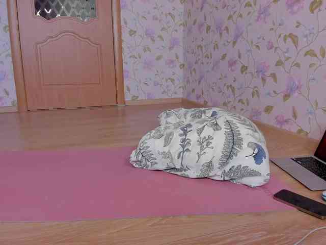EvaRose webcam
