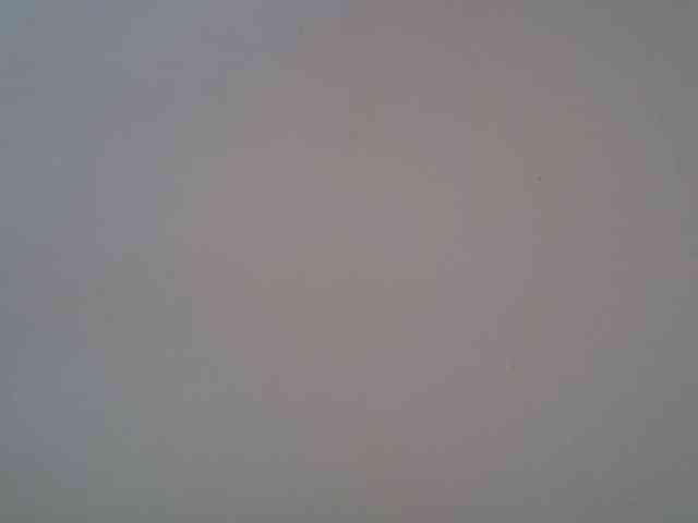 FelistaKeneddy webcam