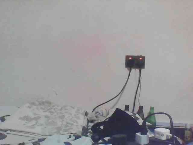 FelistaKeneddy webcam
