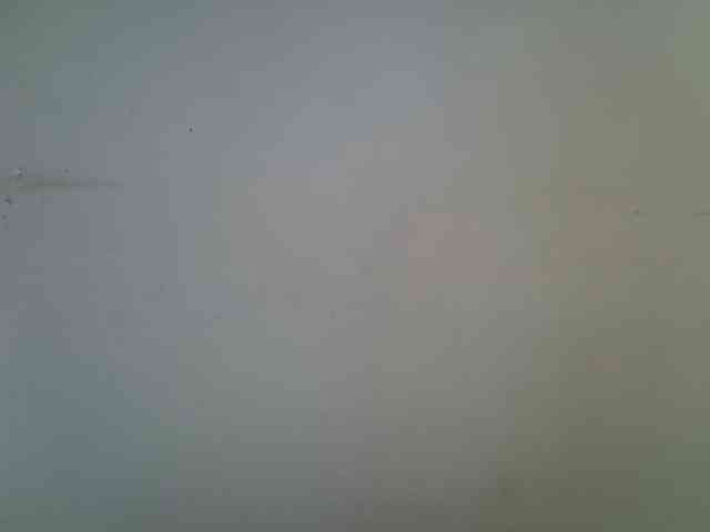 FelistaKeneddy webcam