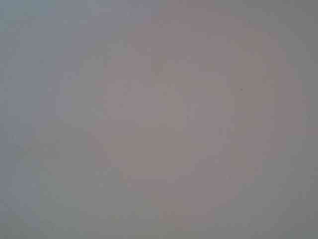 FelistaKeneddy webcam