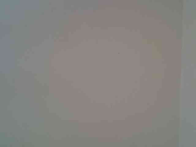 FelistaKeneddy webcam