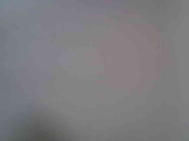 FelistaKeneddy webcam