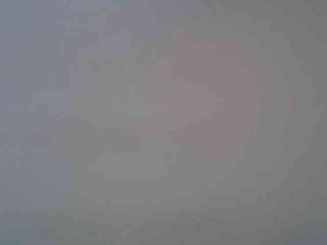 FelistaKeneddy webcam