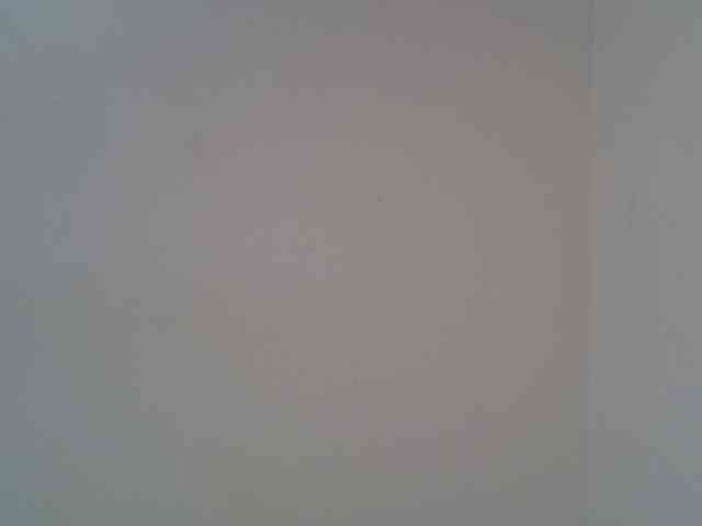 FelistaKeneddy webcam