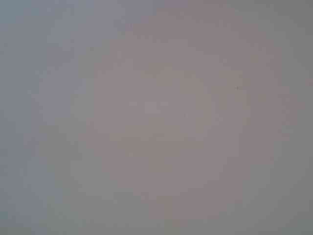 FelistaKeneddy webcam