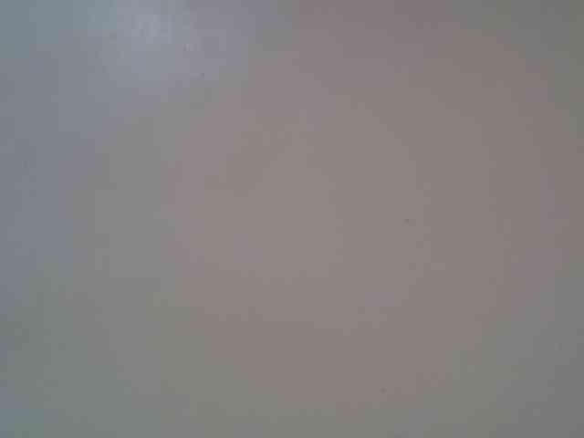 FelistaKeneddy webcam