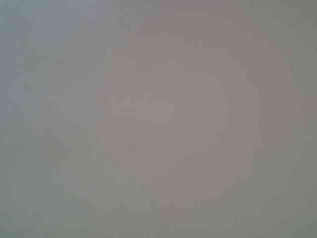 FelistaKeneddy webcam