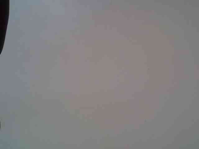 FelistaKeneddy webcam