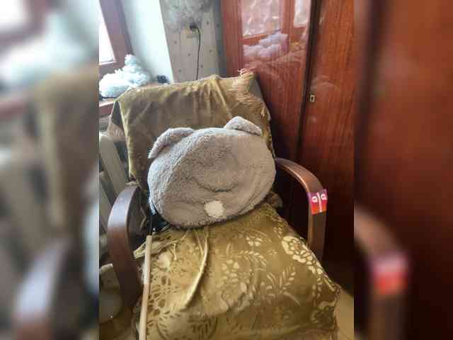 babylips Live Webcam on BongaCams