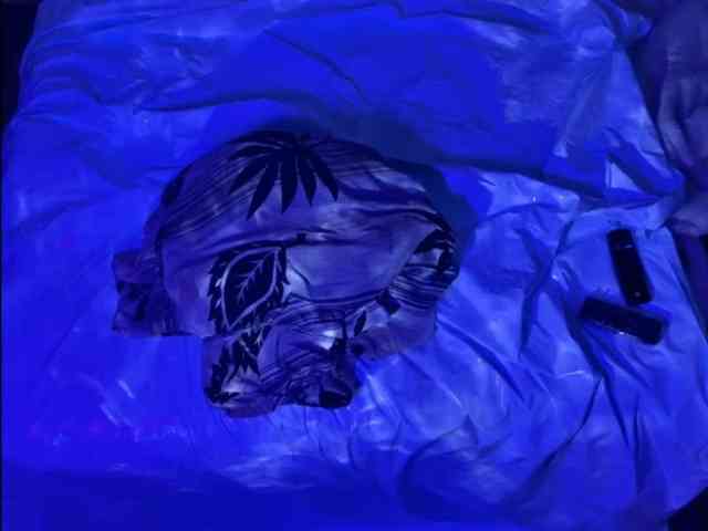 Luggijack1 Luggijack1