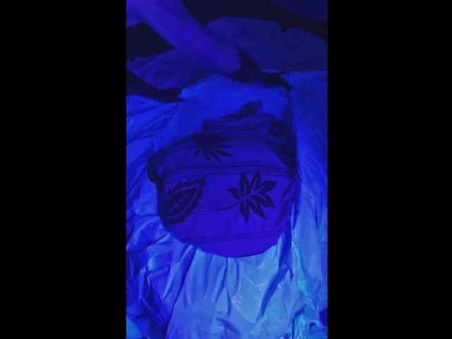 Luggijack1 Luggijack1