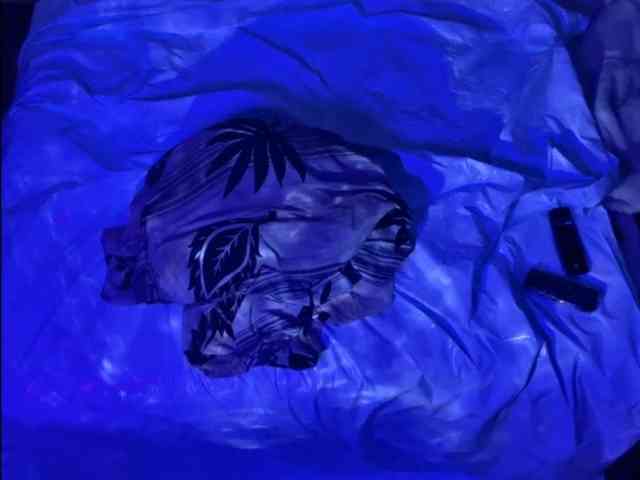 Luggijack1 Luggijack1