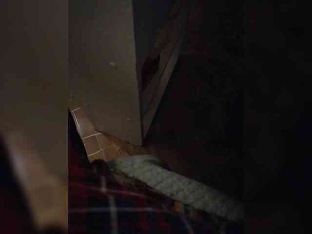 Berlin882 Live Webcam on BongaCams