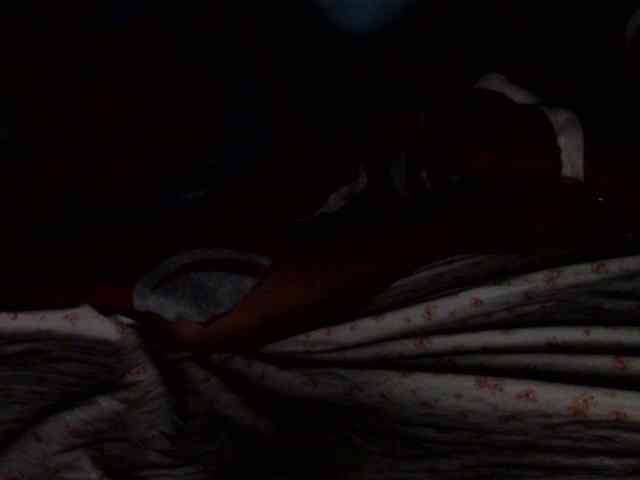 Petitetessy3 webcam