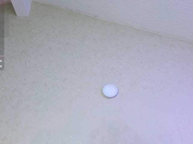 MeganWade Live Cam on BongaCams