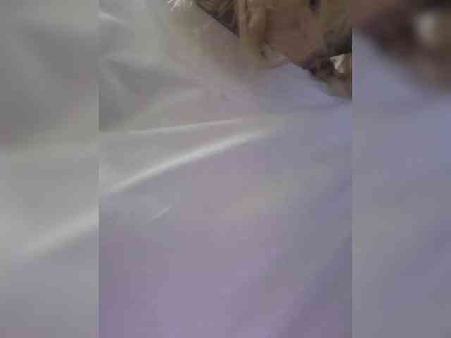 FollowMe webcam