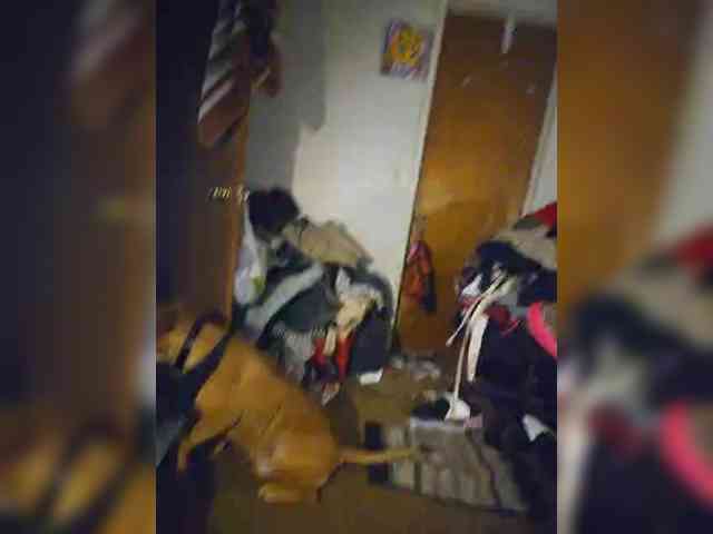 Tapanass6969 webcam