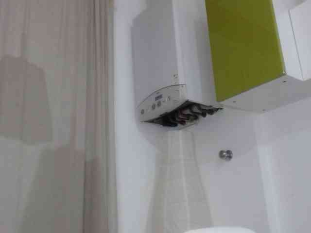 zhamira webcam