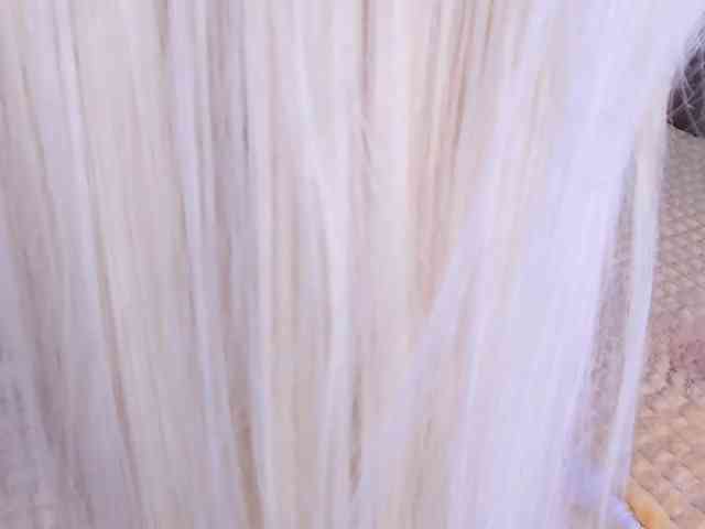 Sweeet-Barbie webcam