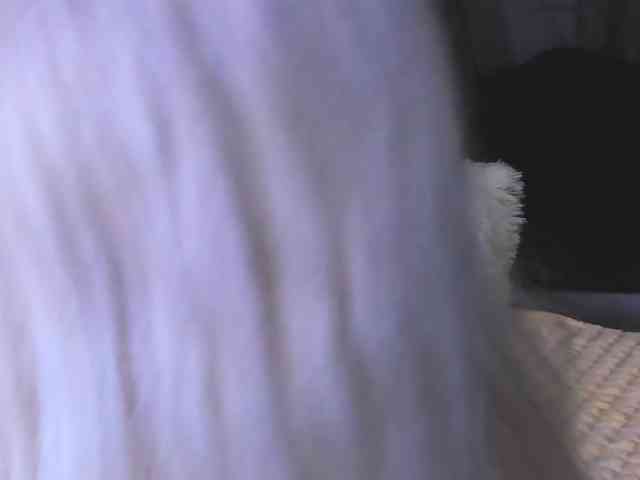 Sweeet-Barbie webcam