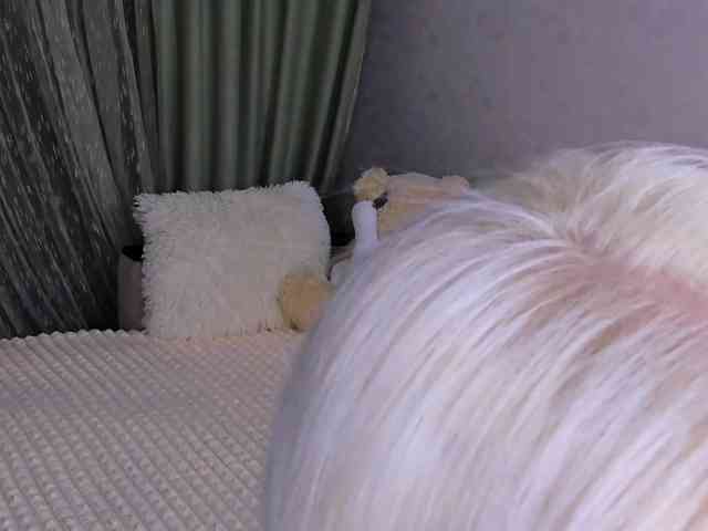 Sweeet-Barbie webcam