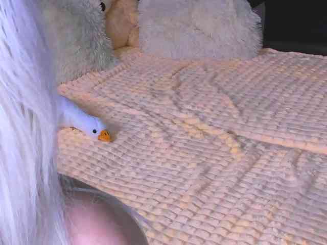 Sweeet-Barbie webcam