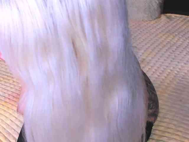 Sweeet-Barbie webcam