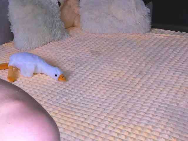 Sweeet-Barbie webcam