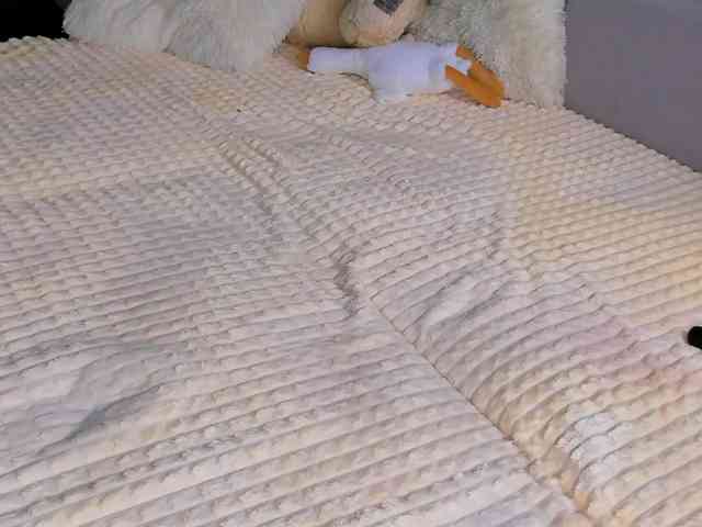 Sweeet-Barbie webcam