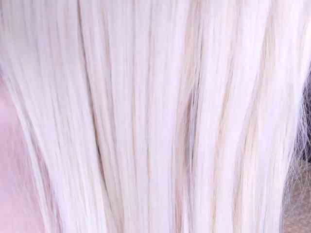 Sweeet-Barbie webcam