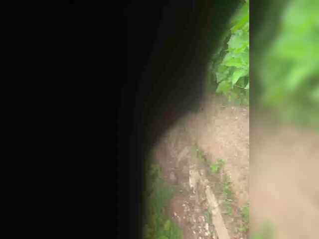 FanatKenli webcam