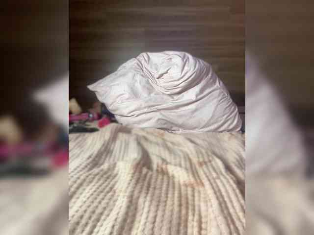 ALISA_PRO_MAX webcam