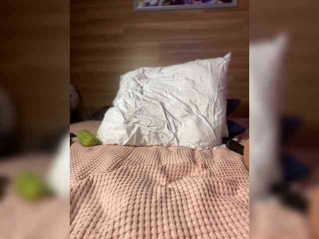 ALISA_PRO_MAX webcam