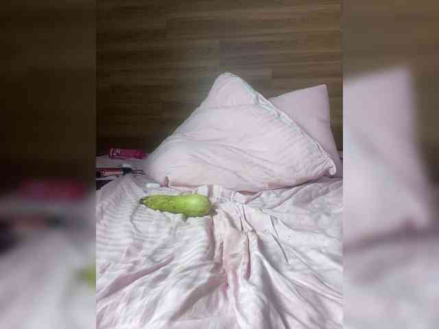 ALISA_PRO_MAX webcam